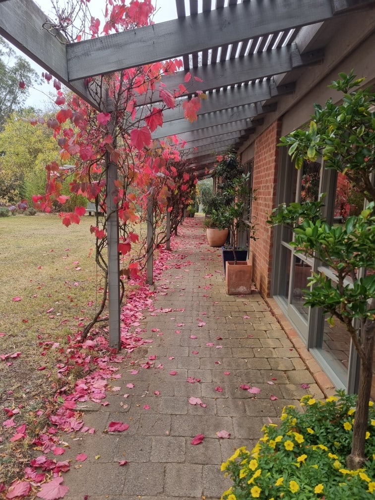 Merchant Builders Home - verandah
